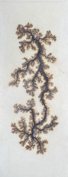 Douglas White, Lichtenberg Drawing 9, 2026