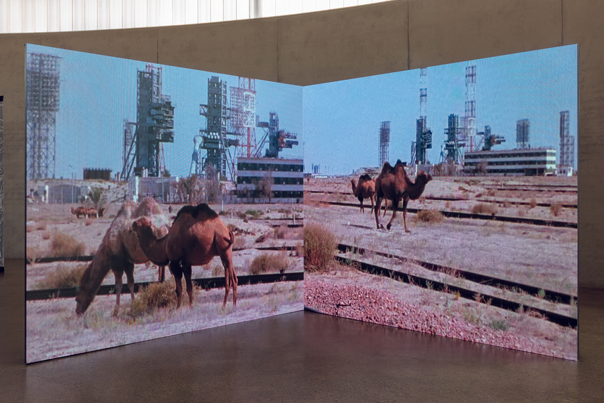 Jane und Louise Wilson