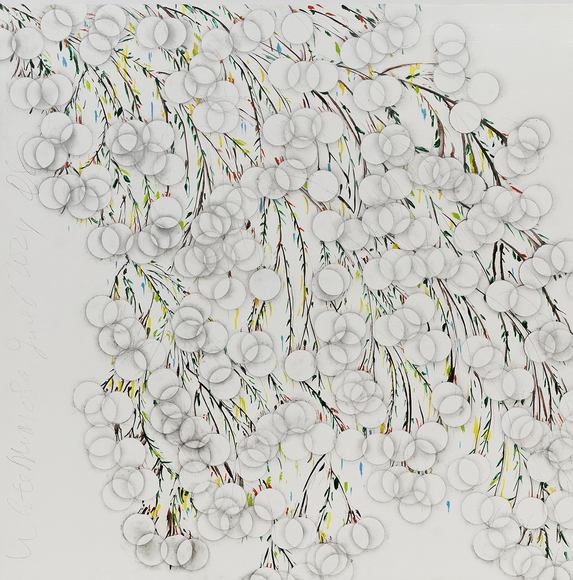 Donald Sultan White Mimosa June 6 2024, 2024 enamel and graphite on masonite 36 x 36 inches