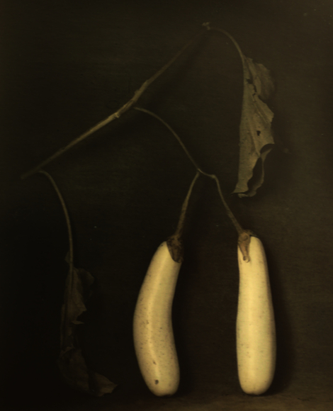 Aubergine (Eggplants), Wallis 2024