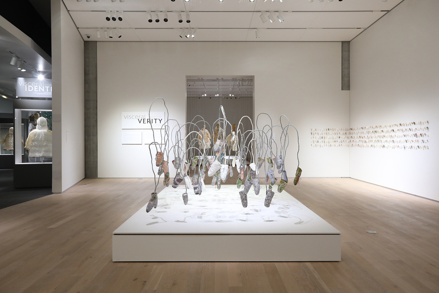 Sonya Kelliher-Combs, Visceral, Verity, Legacy, Identity