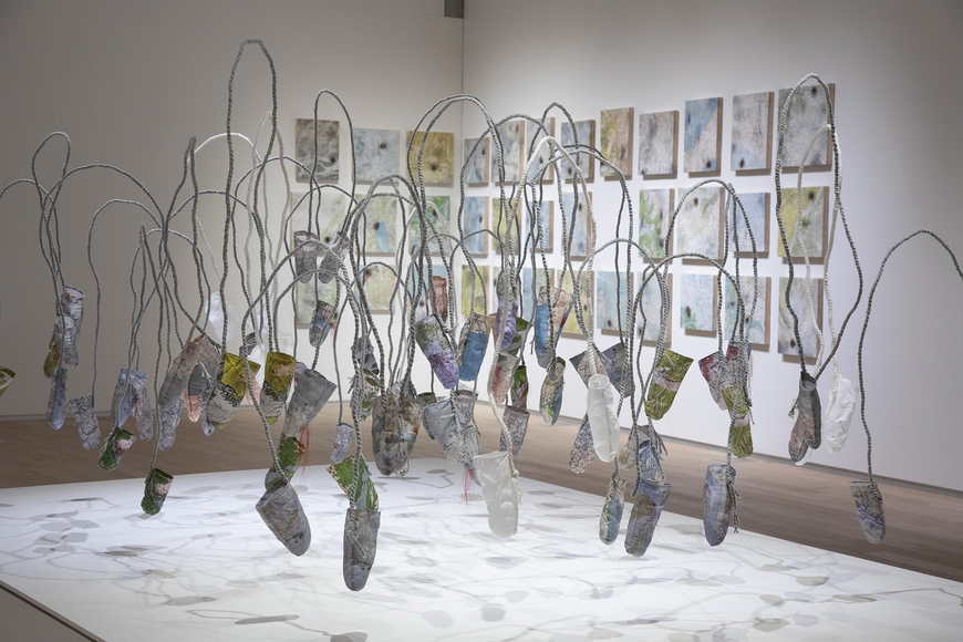 Sonya Kelliher-Combs, Visceral, Verity, Legacy, Identity