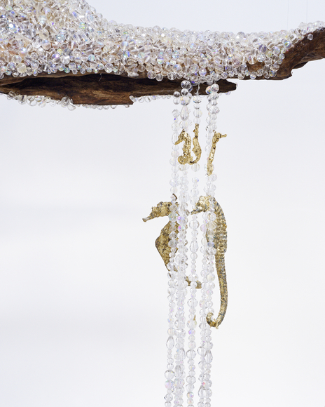 Where Matter Breathes