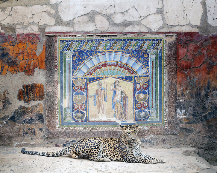 Karen Knorr, Bacchus in Attendance, House of Neptune and Amphitrite, Herculaneum, 2024