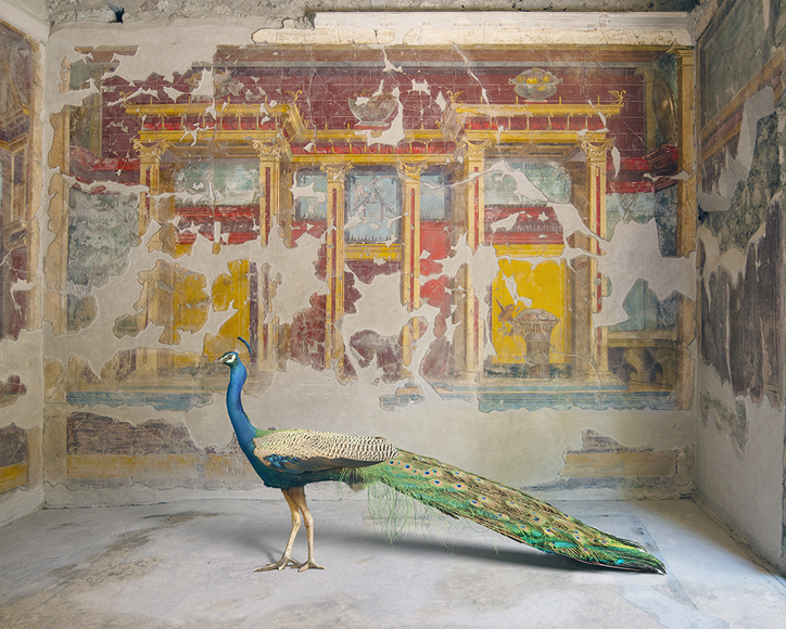 Karen Knorr, Hera's Eyes, Villa Oplontis, Torre Annunziata, 2024