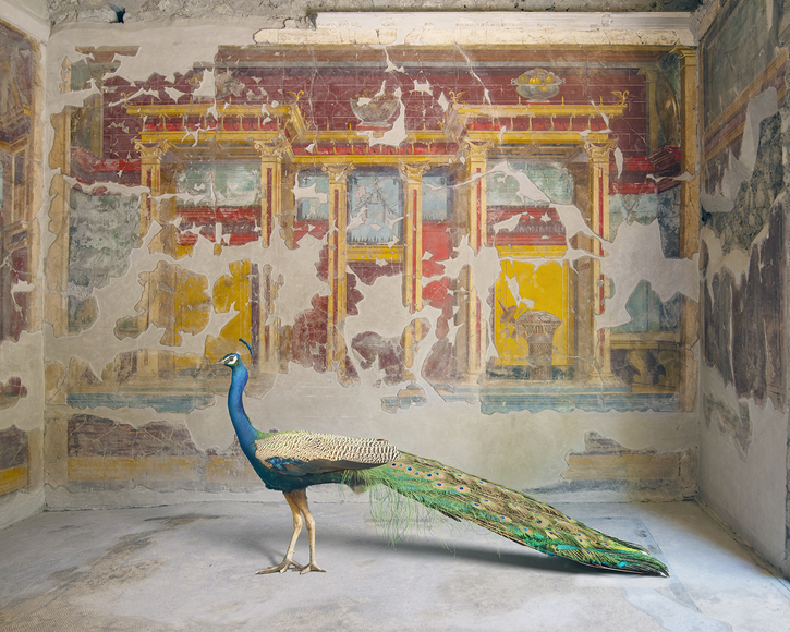 Karen Knorr, Hera's Eyes, Villa Oplontis, Torre Annunziata, 2024