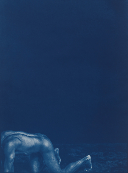 ELIZABETH HEYERT METAMORPHOSIS