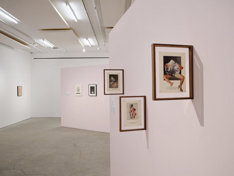 installation view felipe baeza: anima, print center, new york, 2026. photo: argenis apolinario. image courtesy of the artist and kurimanzutto, 