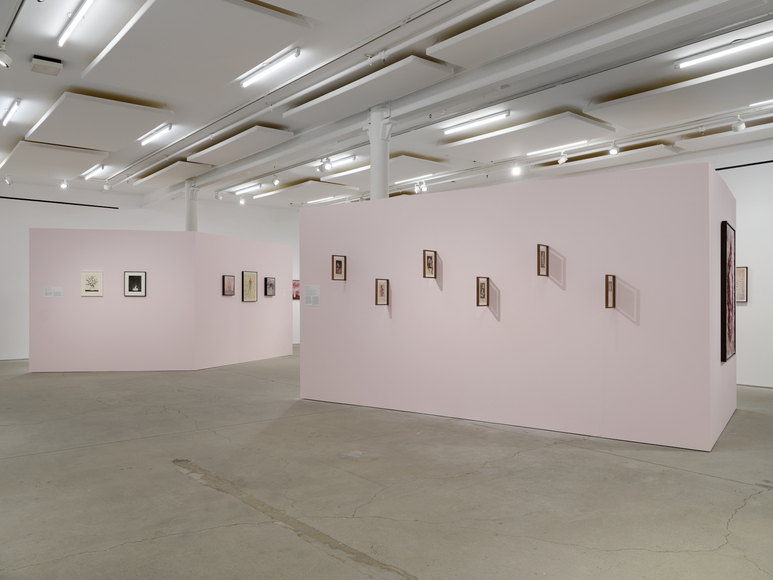installation view felipe baeza: anima, print center, new york, 2026. photo: argenis apolinario. image courtesy of the artist and kurimanzutto, 