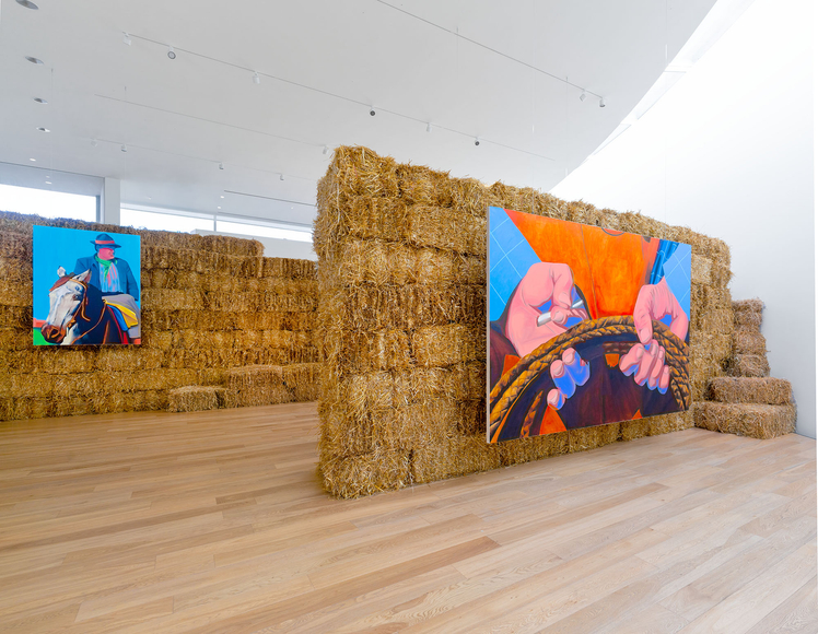 vista de instalaci&oacute;n&nbsp;ana segovia: the office of inter-american affairs presents: uruguay,&nbsp;fundaci&oacute;n cervieri monsu&aacute;rez, 2026. foto: alvaro zinno. cortes&iacute;a de fundaci&oacute;n cervieri monsuarez.&nbsp;