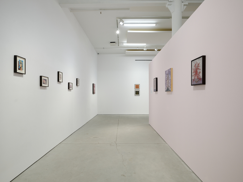 installation view felipe baeza: anima, print center, new york, 2026. photo: argenis apolinario. image courtesy of the artist and kurimanzutto, 
