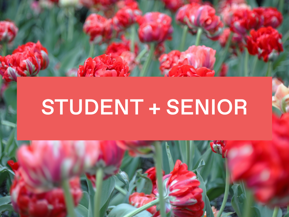 Student and senior is written over a bed of red tulips.
