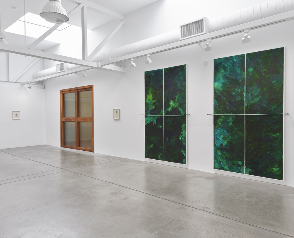 Barbara Stauffacher Solomon