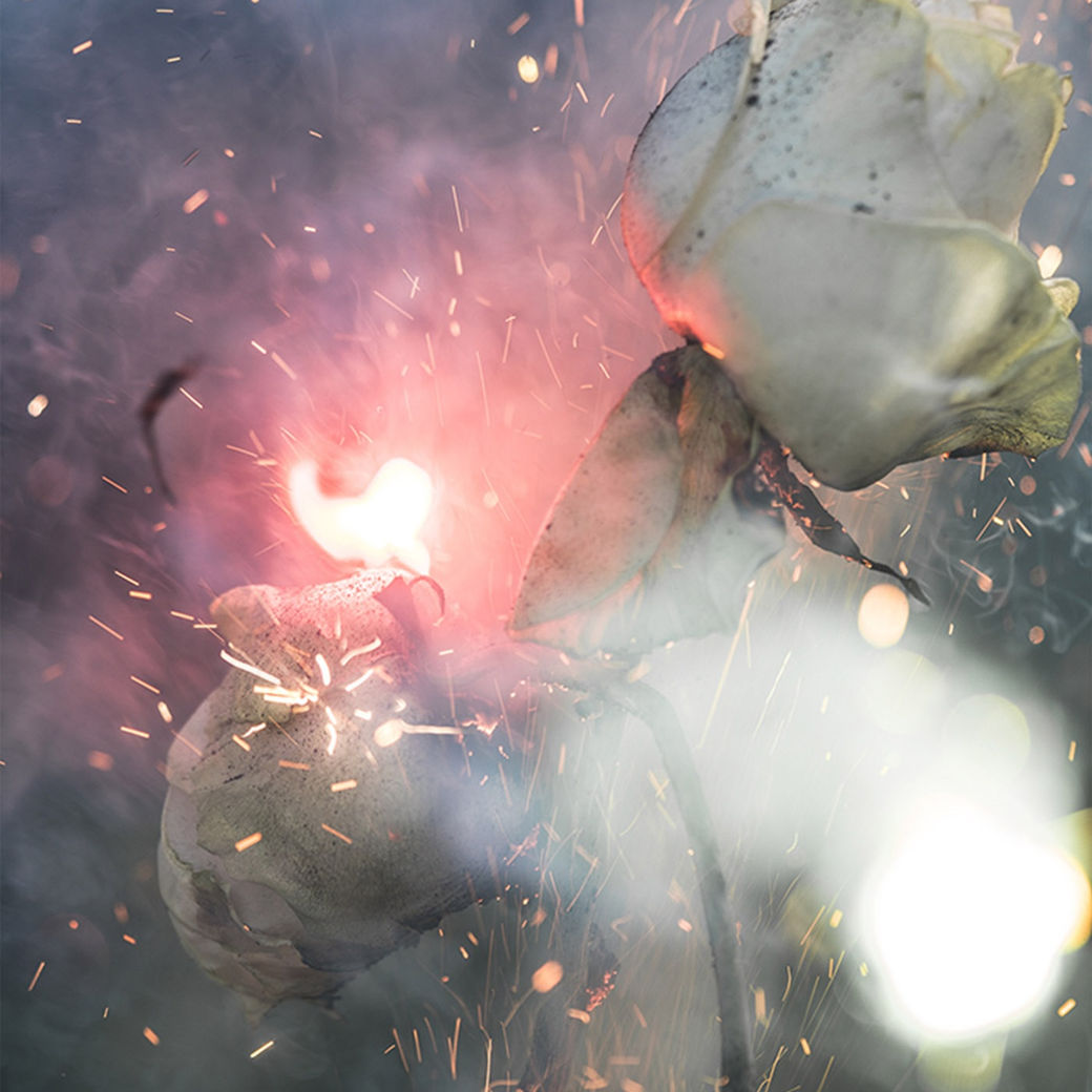 Bill Beckley, Wars of the Roses 68, 2016