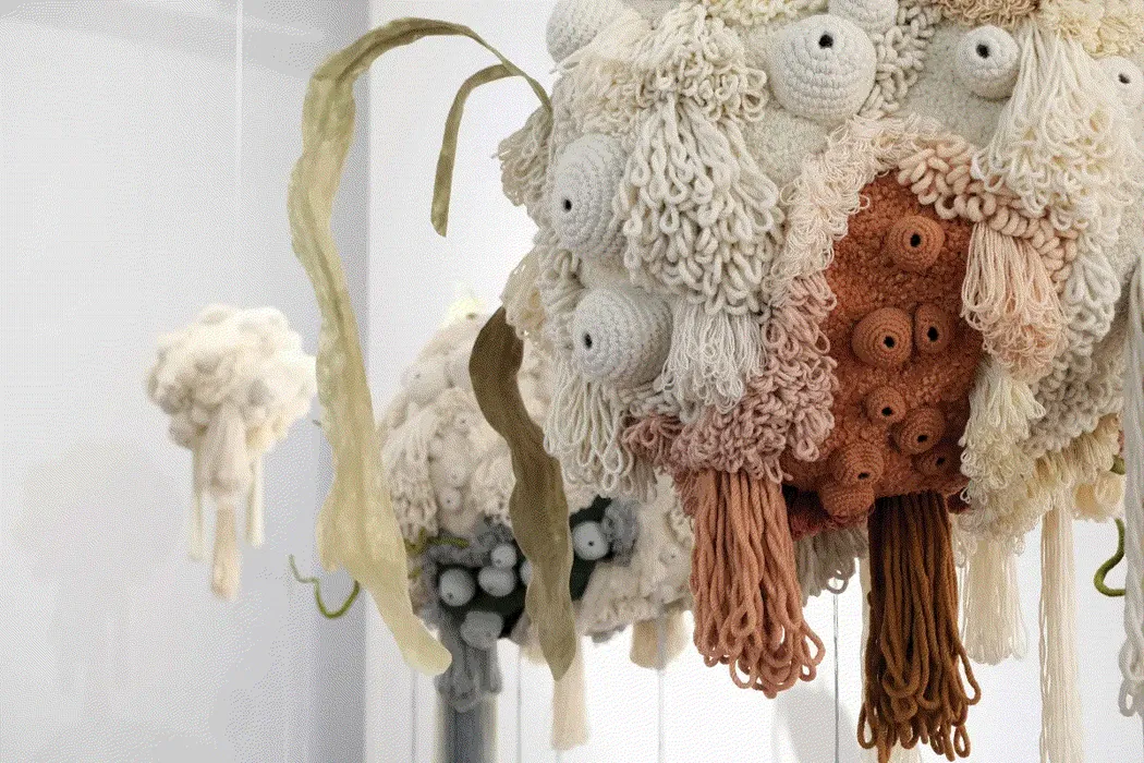 MORPHOSIS - Vanessa Barragão and Catarina Nunes