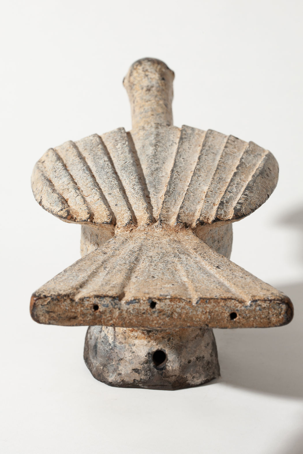 A bulbul bird who speaks the language of the spirits