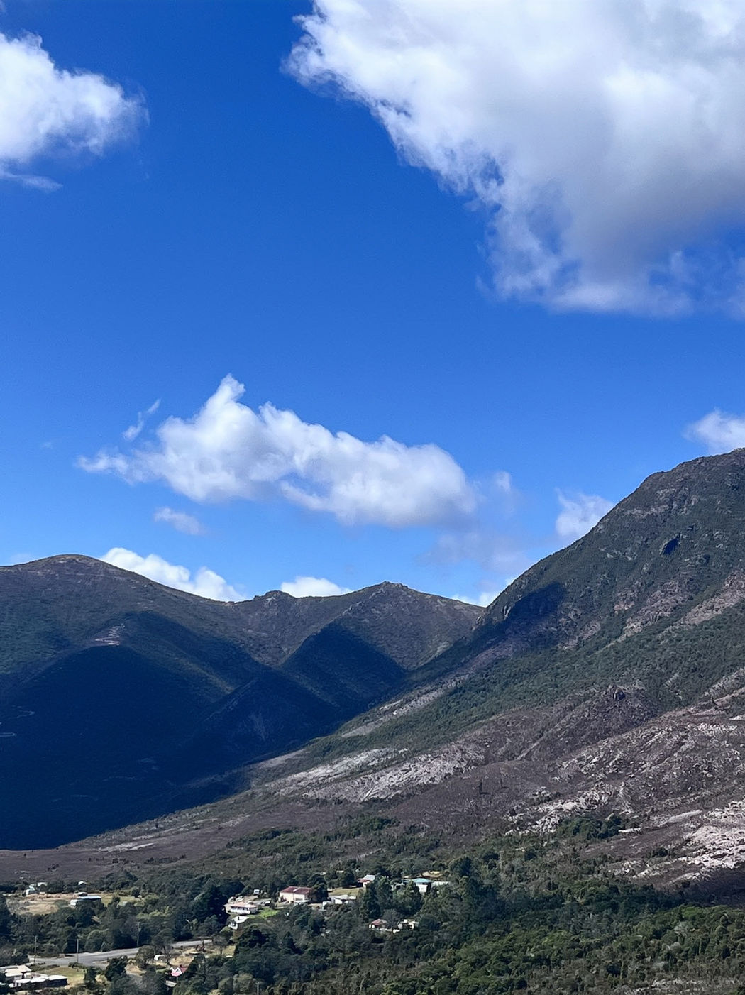 Flowers Bloom in the World