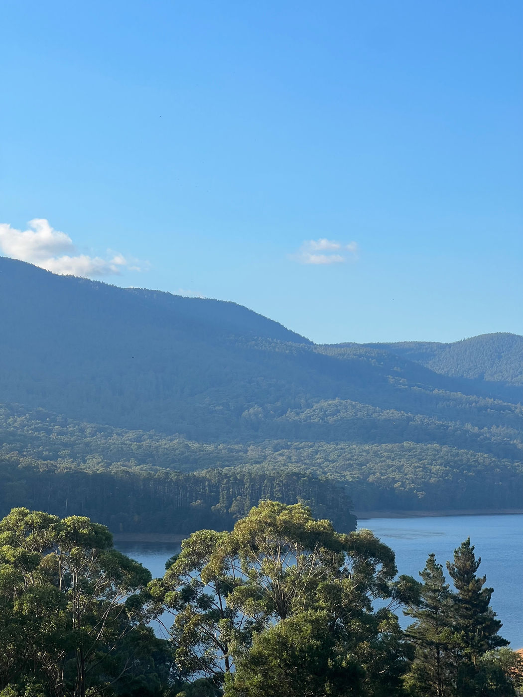 Love warms our world