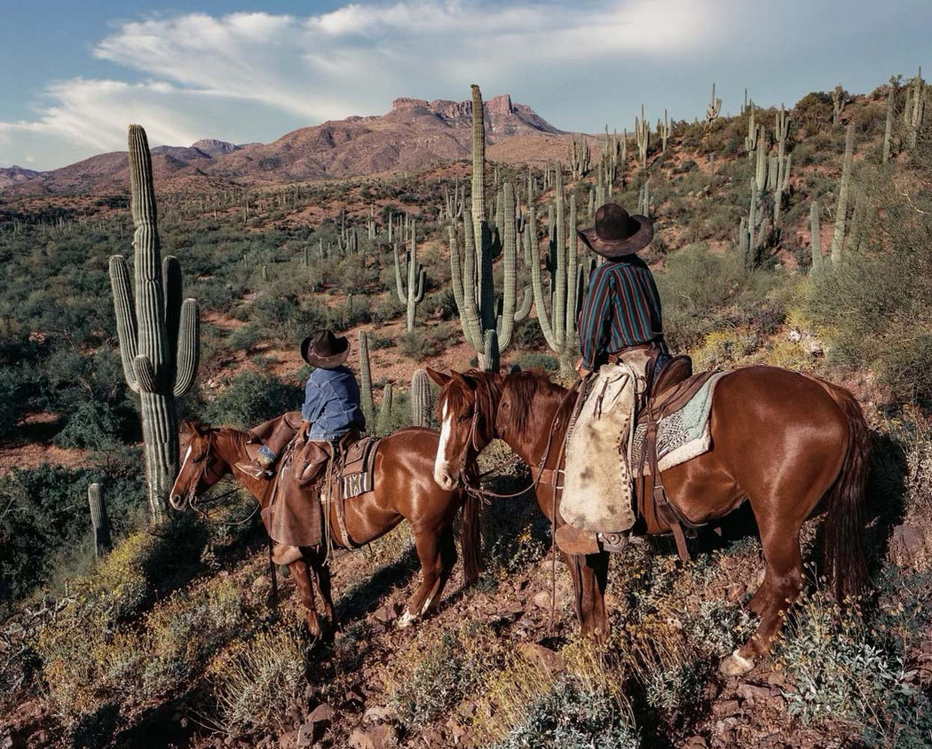 Beau Simmons, "Sonoran Glow", 2023