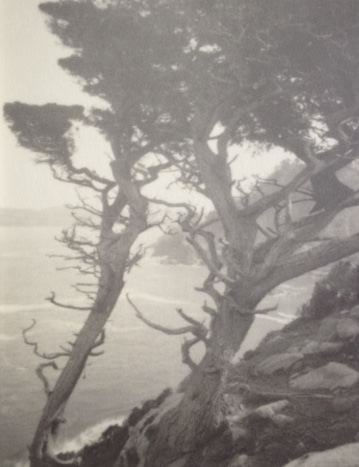 #1858 - Leopold Hugo