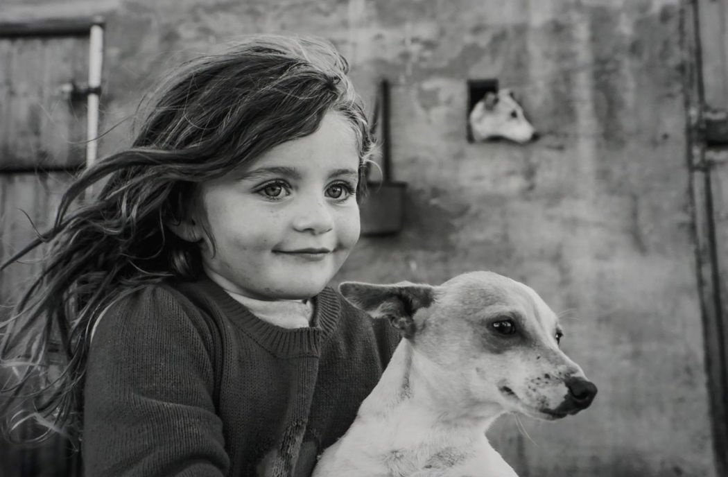 #1837 - Jamie Johnson