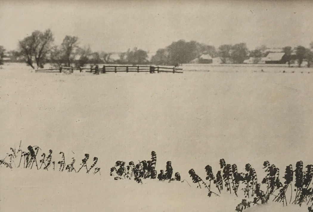 #1830 - P.H. Emerson