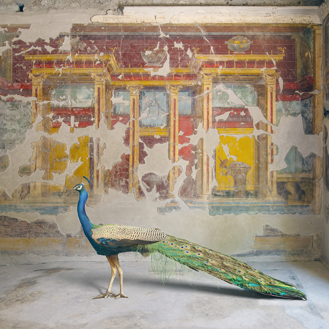 Karen Knorr
