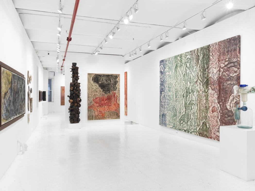 Sari Dienes: Night Eyes