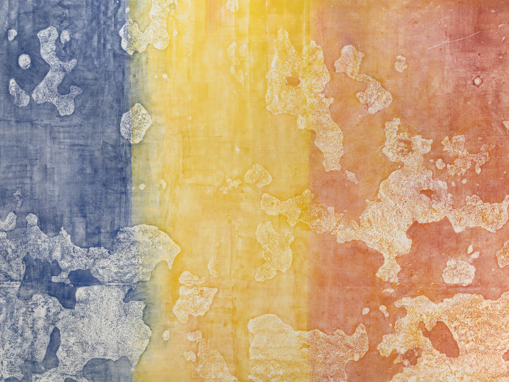 Sari Dienes: Night Eyes