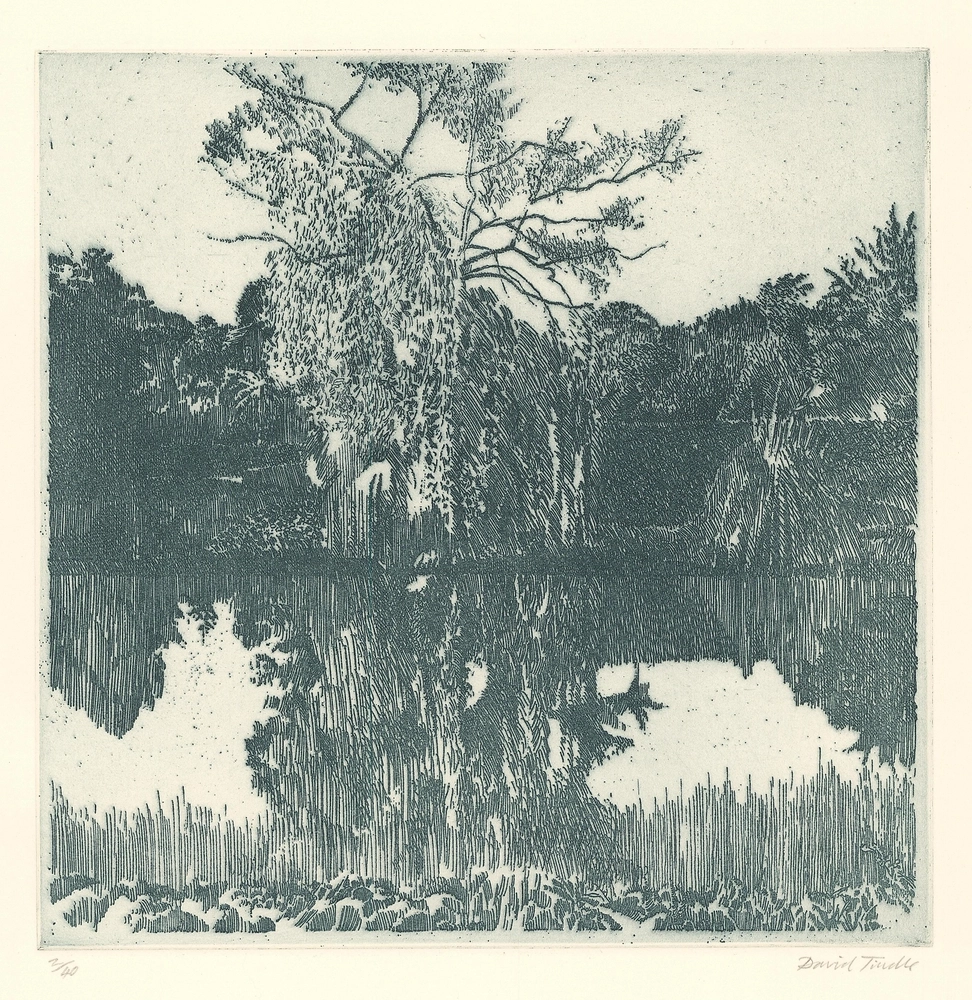 Banks of the Canal, Rohan, 1996