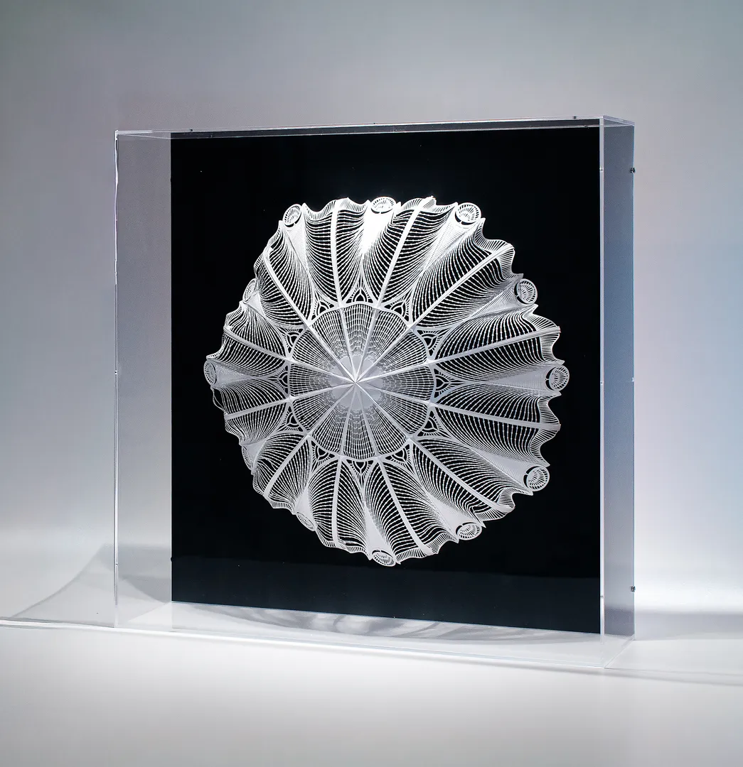 KAMI (Camille Benoit) Media From Above, 2025 Paper in acrylic frame 65 x 17 x 65 cm