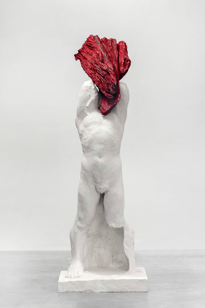 Tereza Štětinová & Martin Žák Žalostné srdce Héraklovo, 2023 Habr, olejová lazura / hornbeam, oil glaze