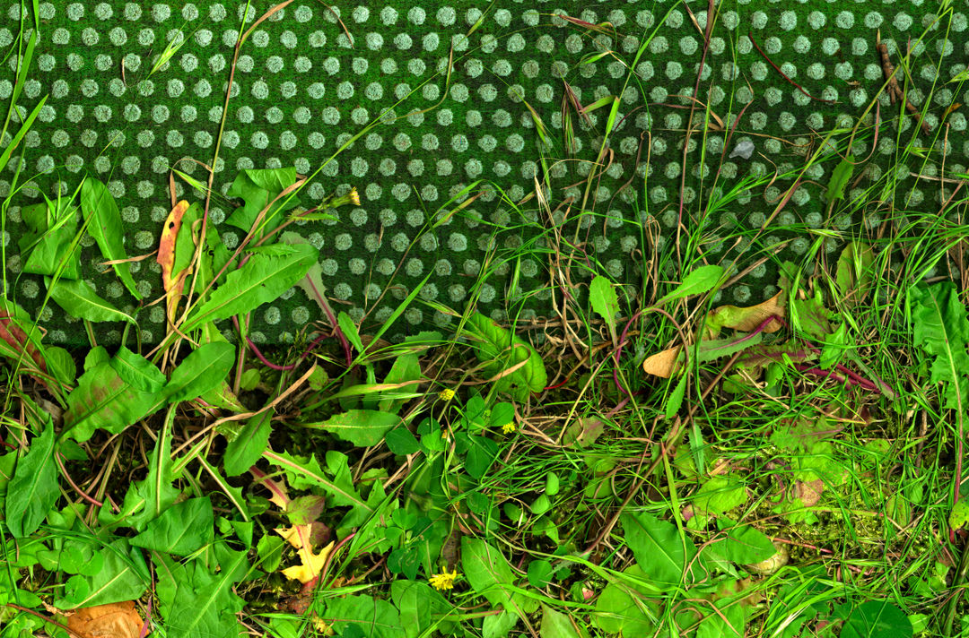 Till Könneker, Close Encounters VII, 2015