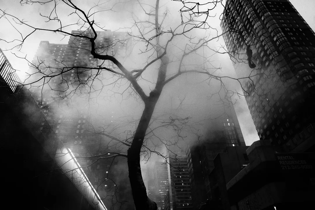 PHIL PENMAN 42nd Street Project, New York, 2017 Lightjet print, 20 x 24 inches. Edition of 5. Printed on Hahnemühle FineArt Baryta Signed, titled and dated on an artist’s label. 20 x 24 in 50.8 x 61 cm Edition of 5 plus 2 artist's proofs