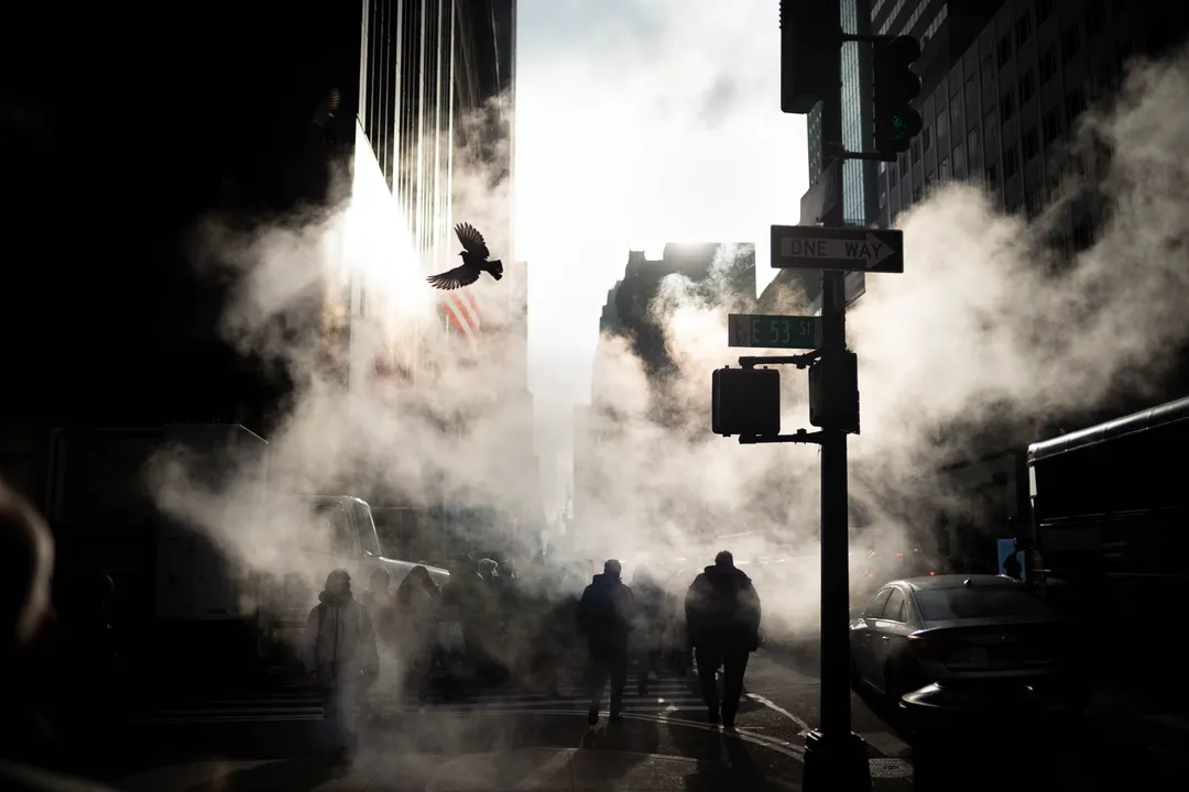 PHIL PENMAN Bird on 5th Avenue, New York, 2020 Lightjet print, 20 x 24 inches. Edition of 5. Printed on Fuji Flex Archive Paper Signed, titled and dated on an artist’s label. Presentation Size 20 x 24 20 x 24 in 50.8 x 61 cm Edition of 5 plus 2 artist's proofs