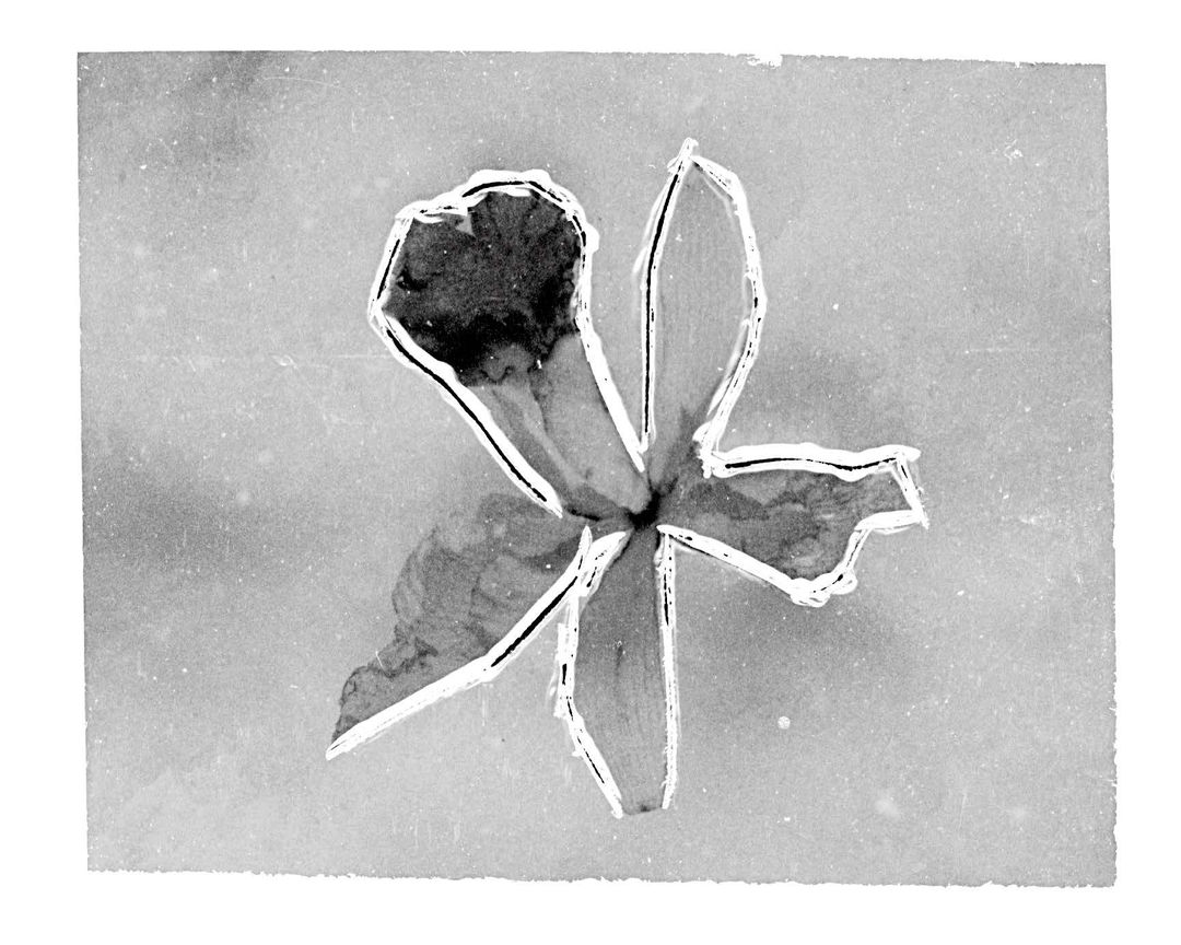 Geraldo de Barros Sem título da série "Sobras" , 1996-1998 / 2019 Gelatina e prata | Silver gelatin print 36 x 28 cm | 14.17 x 11.02 in 1/5