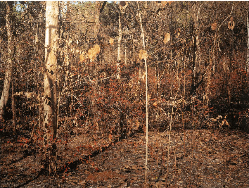 Vogue: 9 new art shows in India to add to your June 2024 calendar