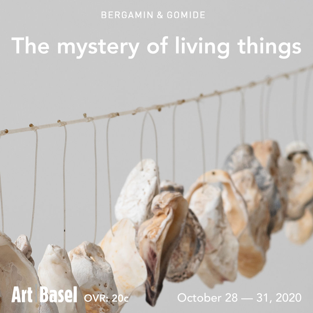 Art Basel OVR: 20c, O mistério das coisas vivas