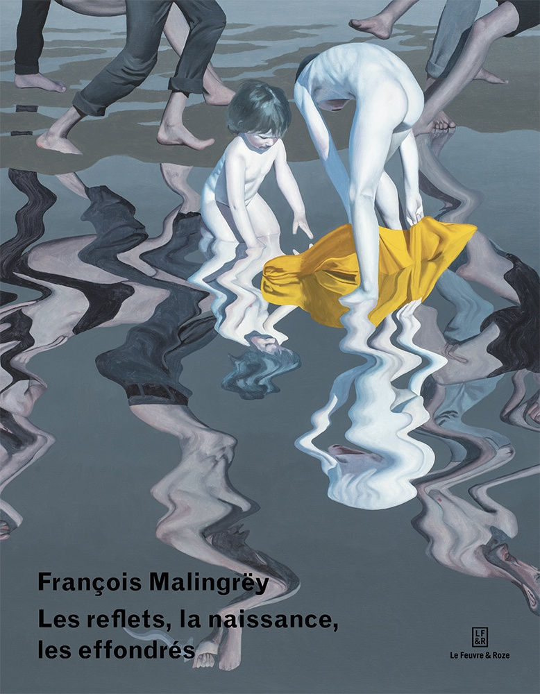 Francois Malingrey, Couverture Catalogue, Les reflets la naissance les effondres, Le Feuvre Roze