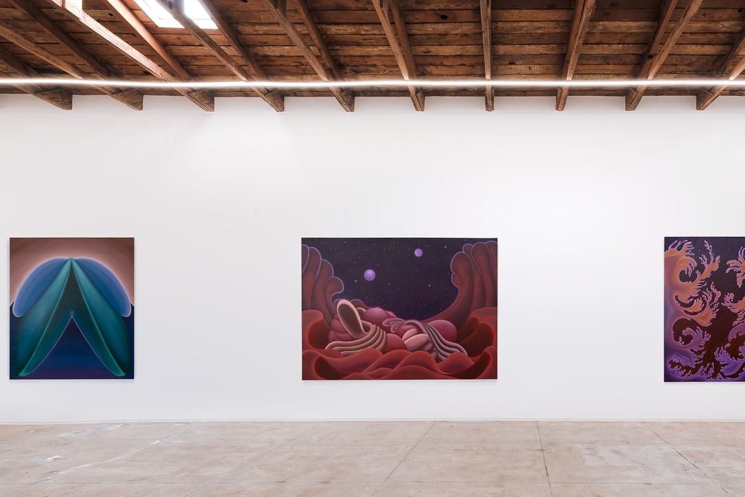 Installion view of Danger Season