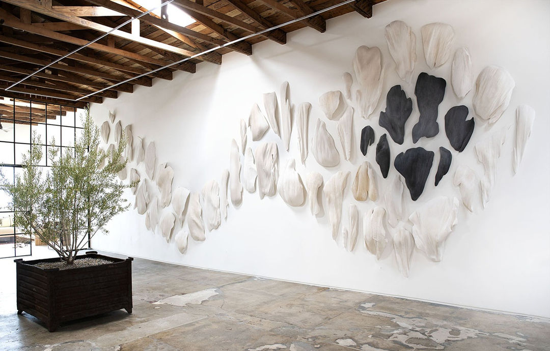 NOTHING BUT MAMMALS, Zaki Christensen