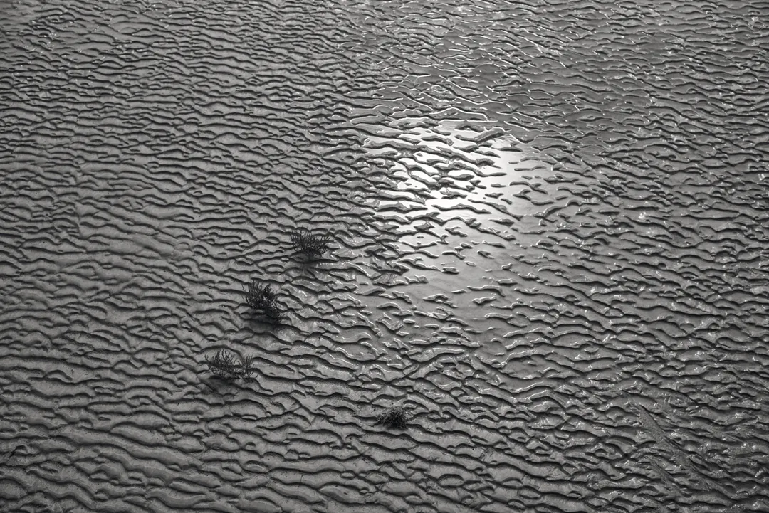 Reste, 2018 101,6 × 67,2 cm Signée, titrée et datée Édition de 3 exemplaires + 2 épreuves d’artiste (EA) Tirage jet d’encre pigmentaire Hahnemühle Museum Etching 350g Livraison standard : retrait au laboratoire Picto (Paris 11e). Expédition possible sur demande. Les frais et conditions d’envoi sont définis directement par le laboratoire Picto après l’achat. Gulgun Gunal