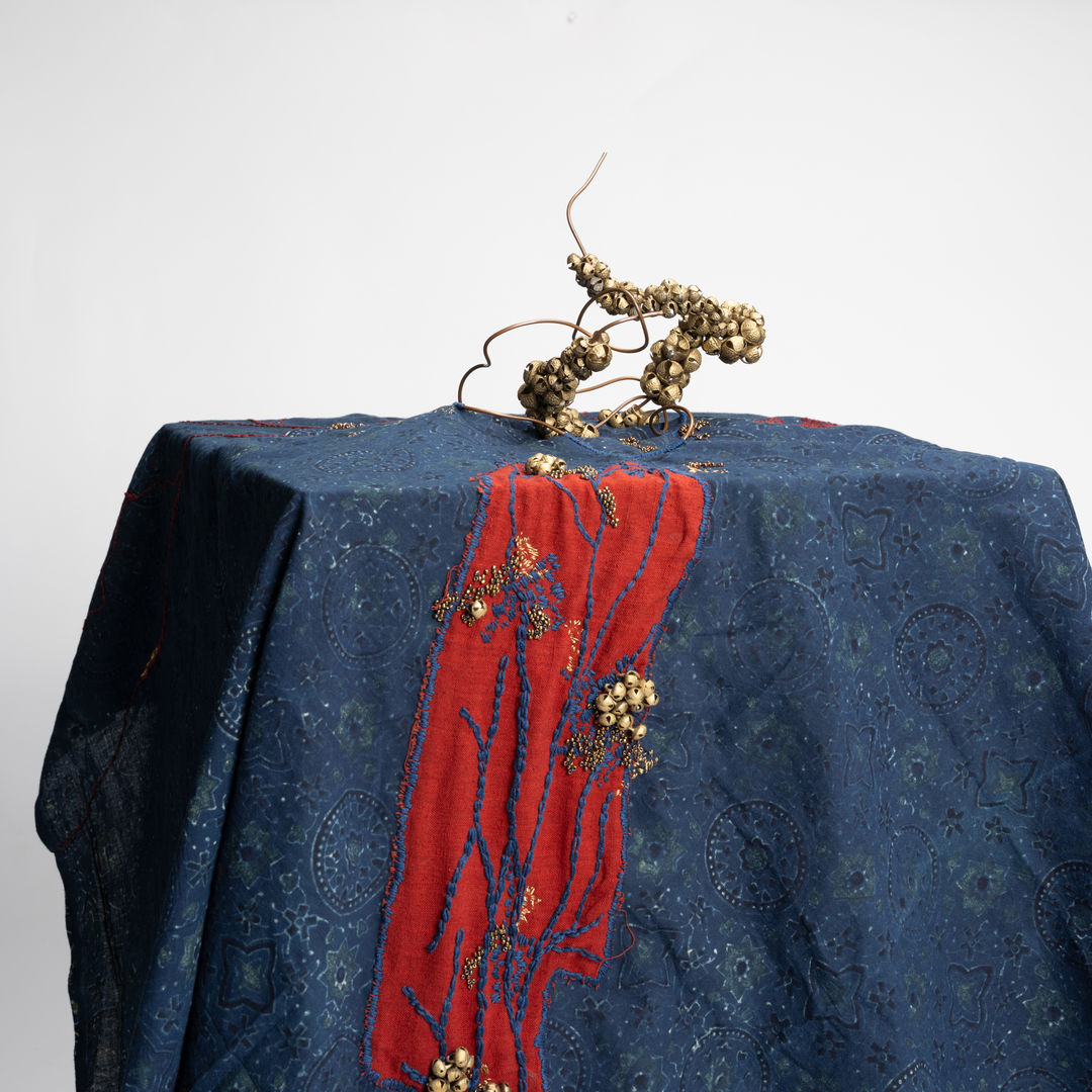 Fragments Of Becoming , Iram Art Gallery, Ahmedabad