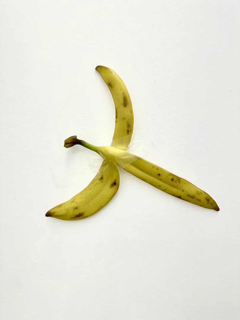 Lunar Harmony , with Gallery Lane Cove