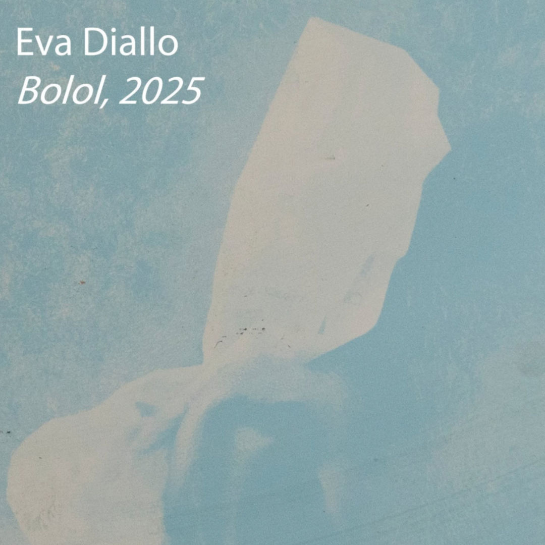 Bolol, 2025 @ Photoforum Pasquart, Bienne, Suisse , Eva Diallo