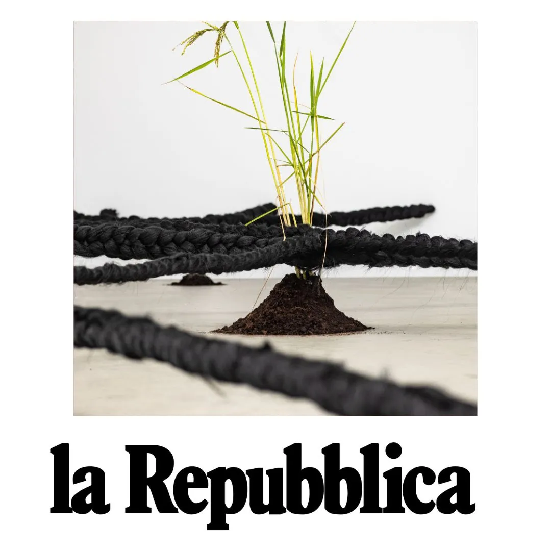 Binta Diaw, l’artista afroitaliana del “Don’t touch my hair!”