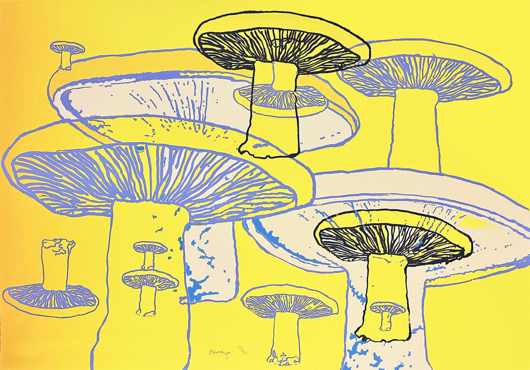 Ardyn Halter | The Mycological Prints