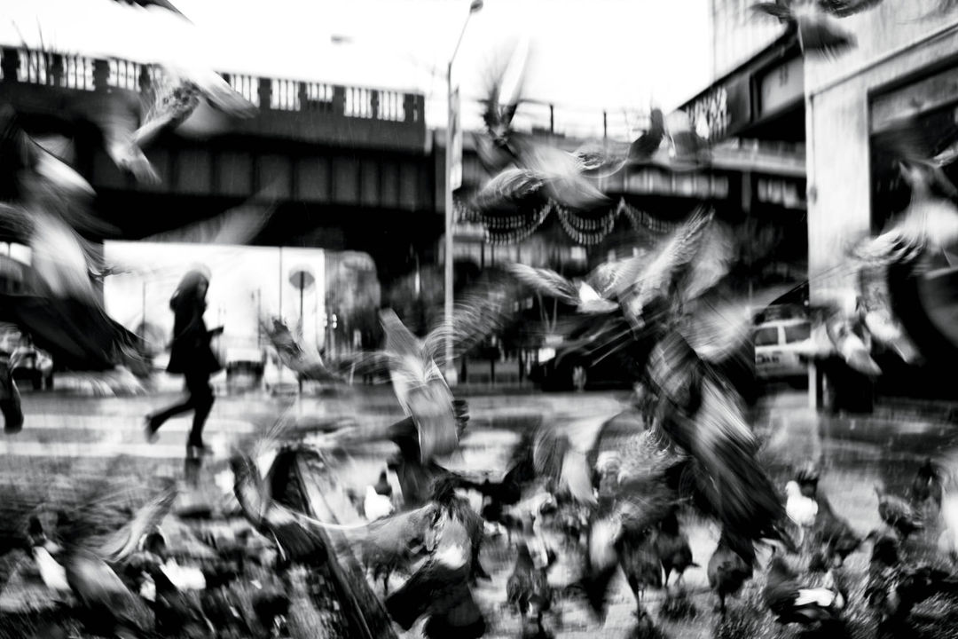 NEW YORK STREET PHOTOGRAPHY SOLO SHOW , Leica Gallery New York