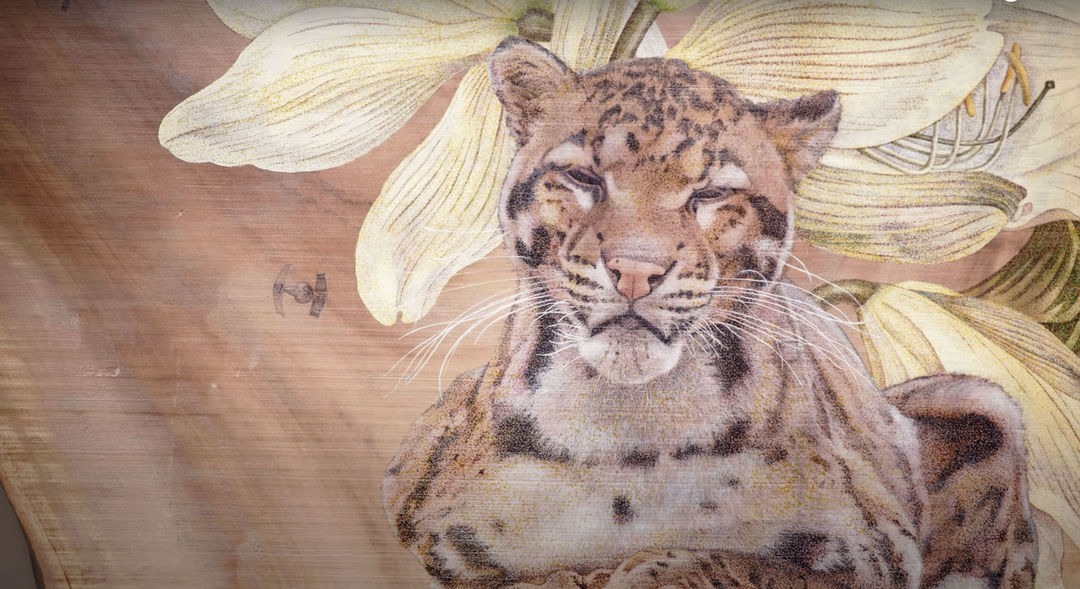 蒐懷志：二〇二二楊茂林個展｜展覽影片, 楊茂林