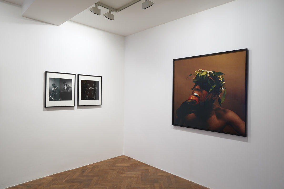 Rotimi Fani-Kayode, Rotimi Fani-Kayode (1955-1989)